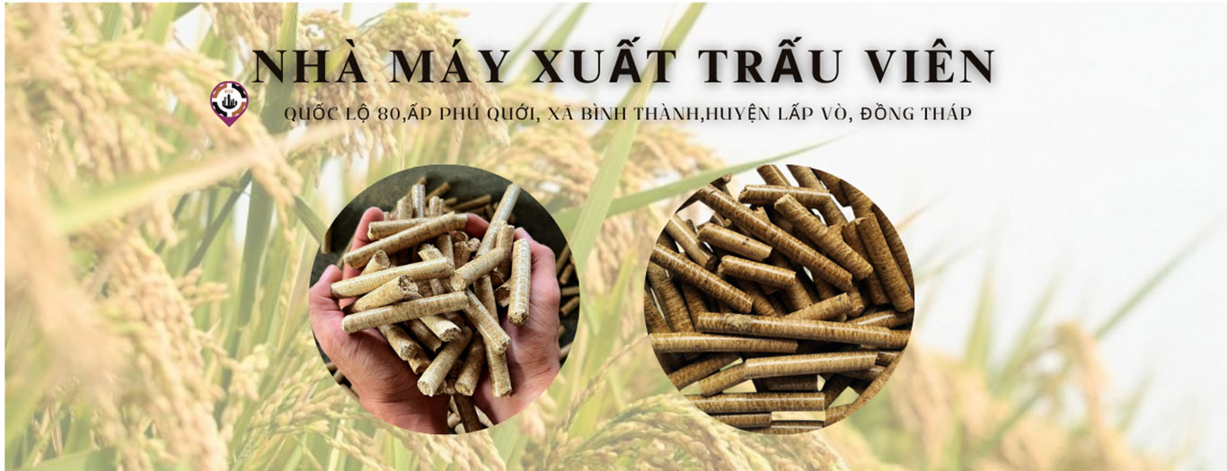 trau-vien-5
